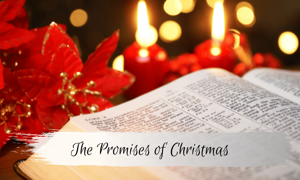 Bible and Christmas decorations