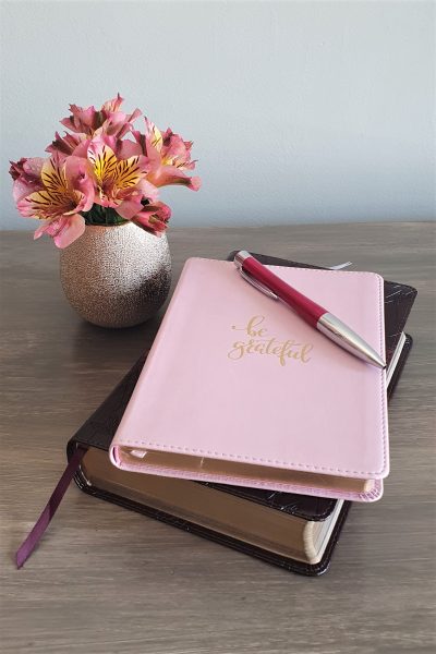 Gratitude journal and Bible pink