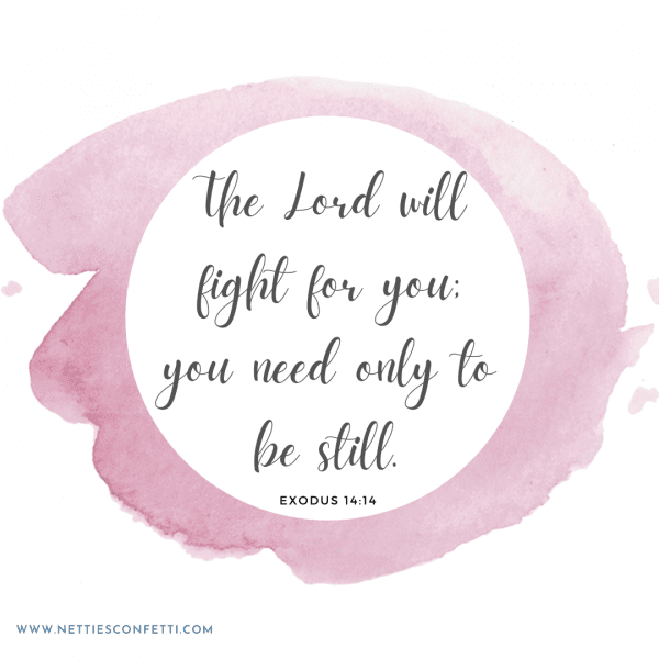 The Lord will fight for you be still