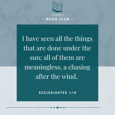 Ecclesiastes 1 verse 14